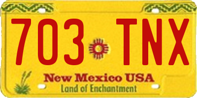 NM license plate 703TNX