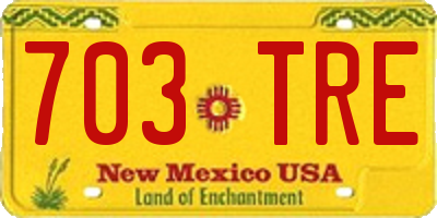 NM license plate 703TRE