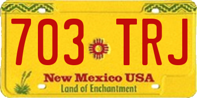 NM license plate 703TRJ