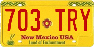 NM license plate 703TRY