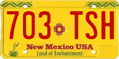 NM license plate 703TSH