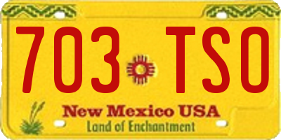 NM license plate 703TSO