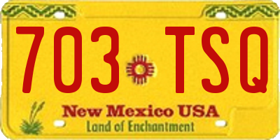 NM license plate 703TSQ