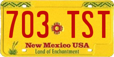 NM license plate 703TST