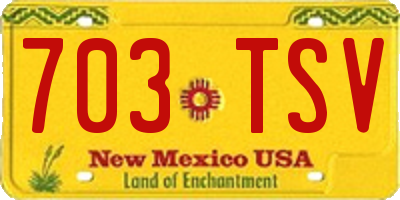 NM license plate 703TSV