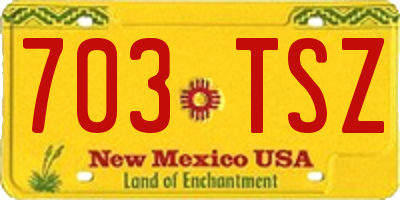 NM license plate 703TSZ