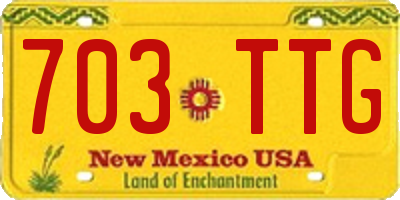 NM license plate 703TTG