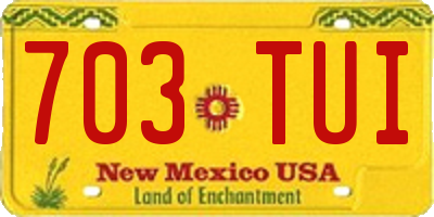 NM license plate 703TUI