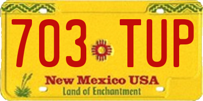 NM license plate 703TUP