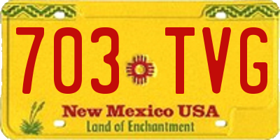 NM license plate 703TVG