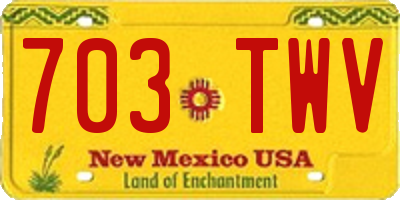 NM license plate 703TWV