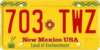 NM license plate 703TWZ