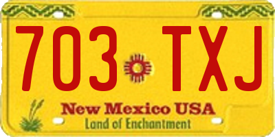 NM license plate 703TXJ