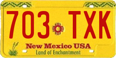 NM license plate 703TXK