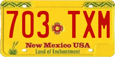 NM license plate 703TXM