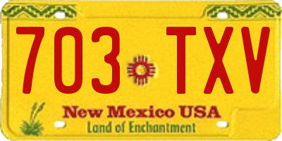 NM license plate 703TXV