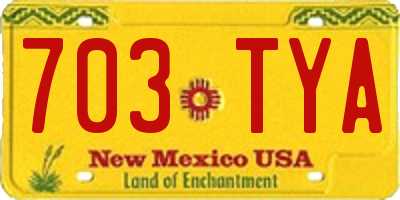 NM license plate 703TYA
