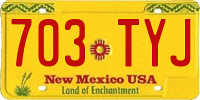 NM license plate 703TYJ