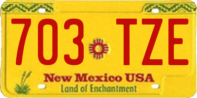 NM license plate 703TZE