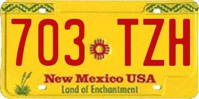 NM license plate 703TZH