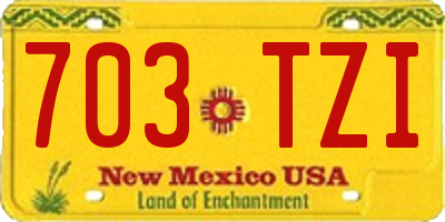 NM license plate 703TZI