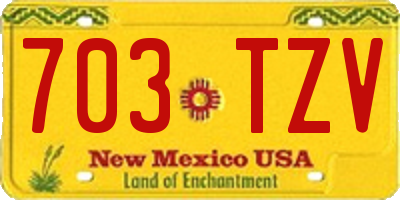 NM license plate 703TZV