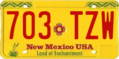 NM license plate 703TZW