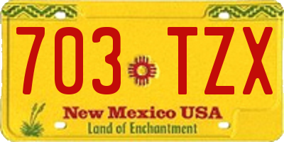 NM license plate 703TZX