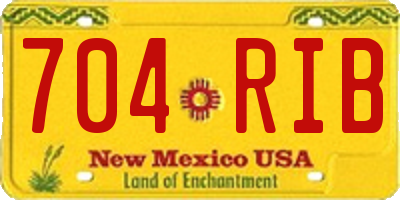 NM license plate 704RIB