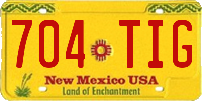 NM license plate 704TIG