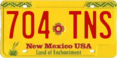 NM license plate 704TNS