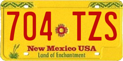NM license plate 704TZS