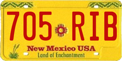 NM license plate 705RIB