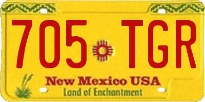 NM license plate 705TGR