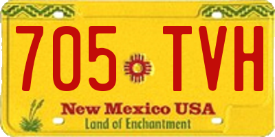 NM license plate 705TVH
