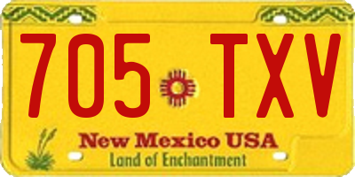 NM license plate 705TXV