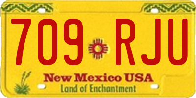 NM license plate 709RJU