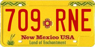 NM license plate 709RNE