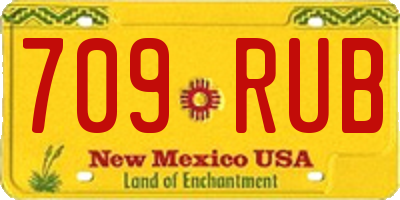 NM license plate 709RUB
