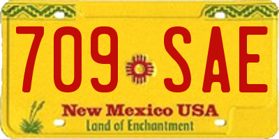 NM license plate 709SAE