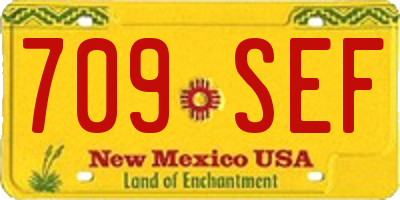 NM license plate 709SEF