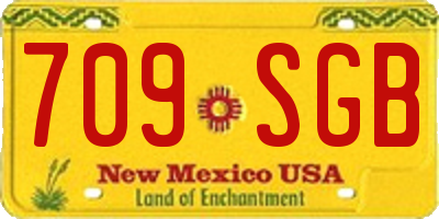 NM license plate 709SGB