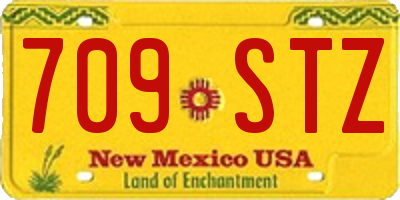 NM license plate 709STZ