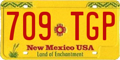 NM license plate 709TGP