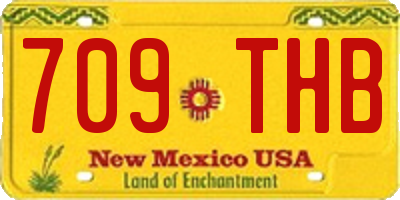 NM license plate 709THB