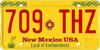 NM license plate 709THZ