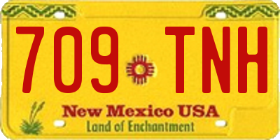 NM license plate 709TNH