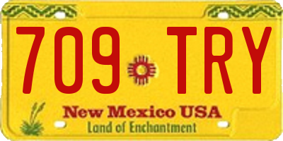 NM license plate 709TRY