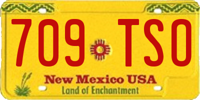 NM license plate 709TSO