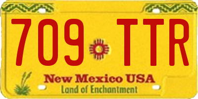 NM license plate 709TTR